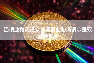 汤镇业和汤镇宗（汤镇业和汤镇宗是双胞胎吗）