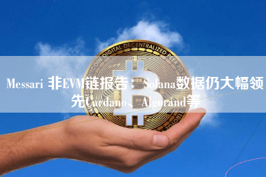 Messari 非EVM链报告：Solana数据仍大幅领先Cardano、Algorand等