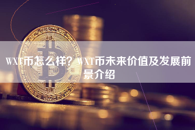 WXT币怎么样？WXT币未来价值及发展前景介绍